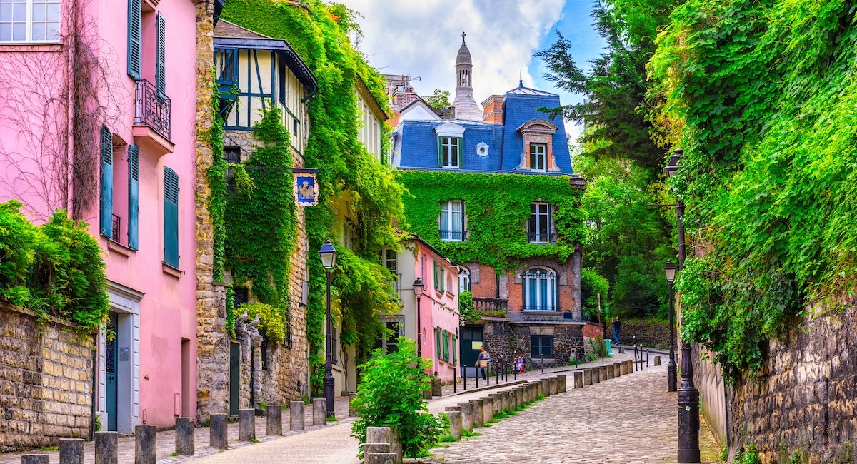 დისნეილენდის ტური